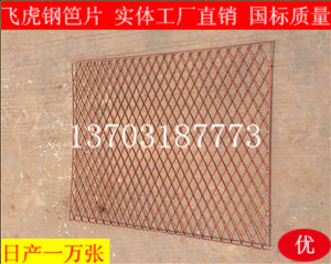 建筑鋼笆片哪里價(jià)格最便宜、質(zhì)量有保證-04
