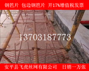 建筑鋼笆片哪里價(jià)格最便宜、質(zhì)量有保證
